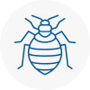 Bed Bug Extermination In Westbourne