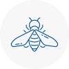 Bee Nest Removal Westbourne