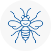 Westbourne Hornet Nest Removals