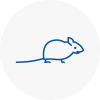 Mice Exterminators In Westbourne
