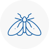 Moth Control Specialists In Westbourne