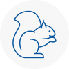 Westbourne Rodent Removals