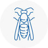 Westbourne Wasp Nest Removal